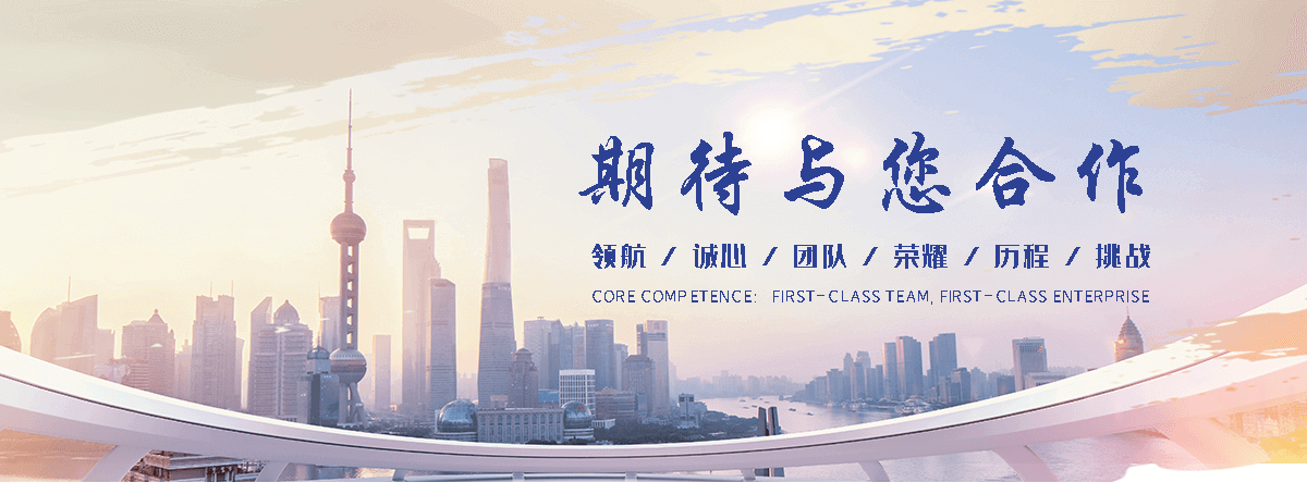 社旗海狮租赁公司
